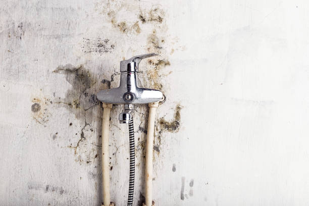 Palm Springs, CA Mold Remediation Company